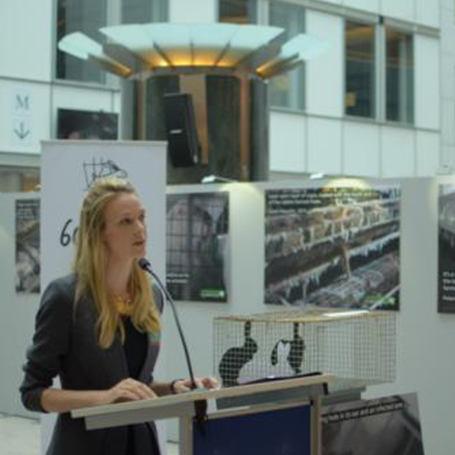 Animal Equality im EU Parlament