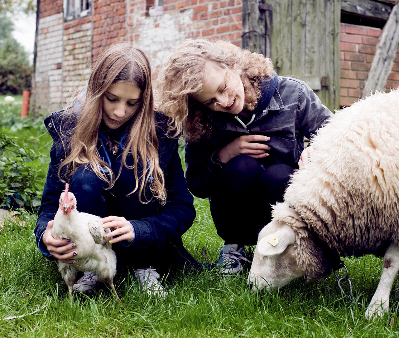 Mädchen mit Huhn und Schaf
