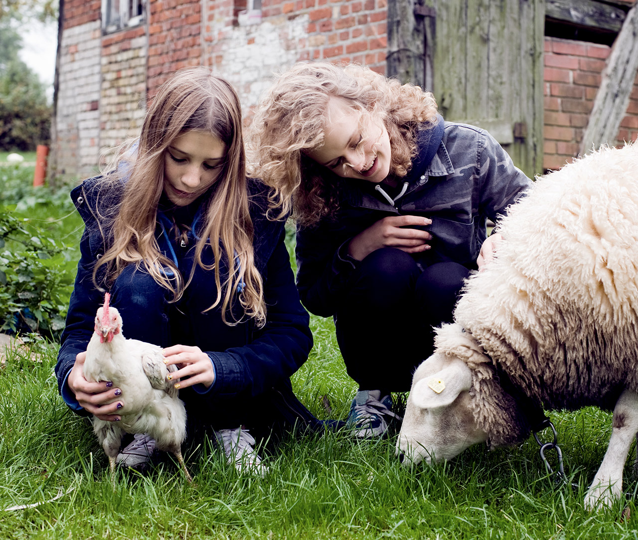 Mädchen mit Huhn und Schaf