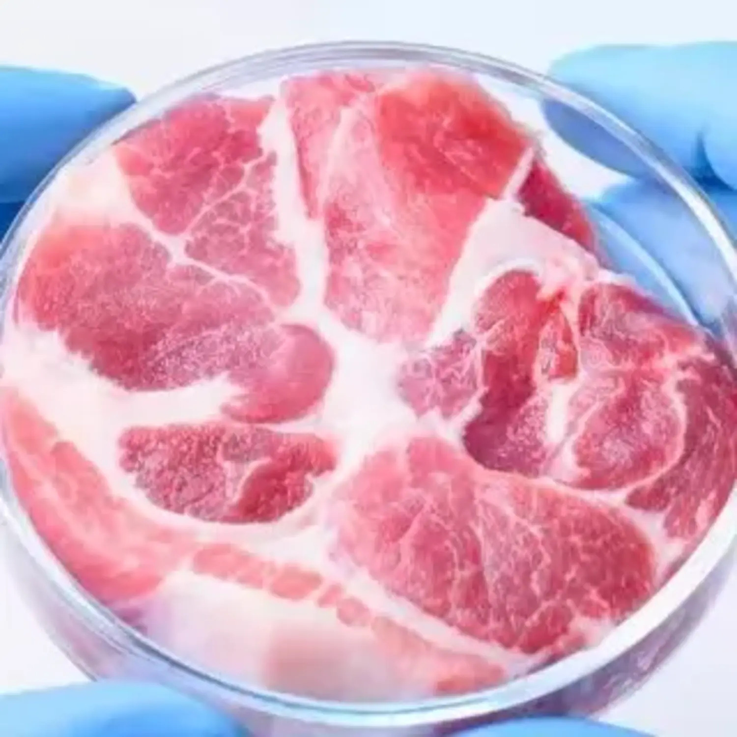 Clean Meat