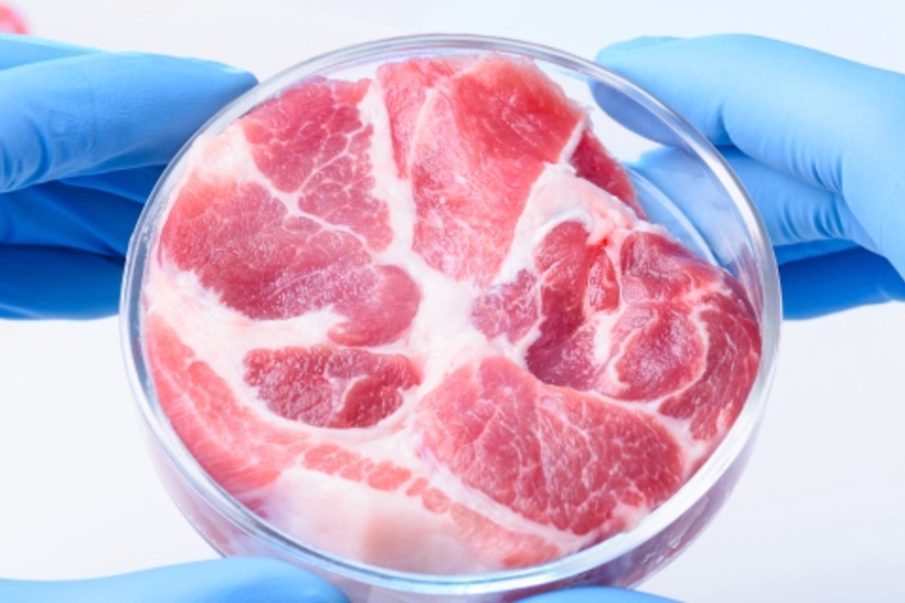 Clean Meat