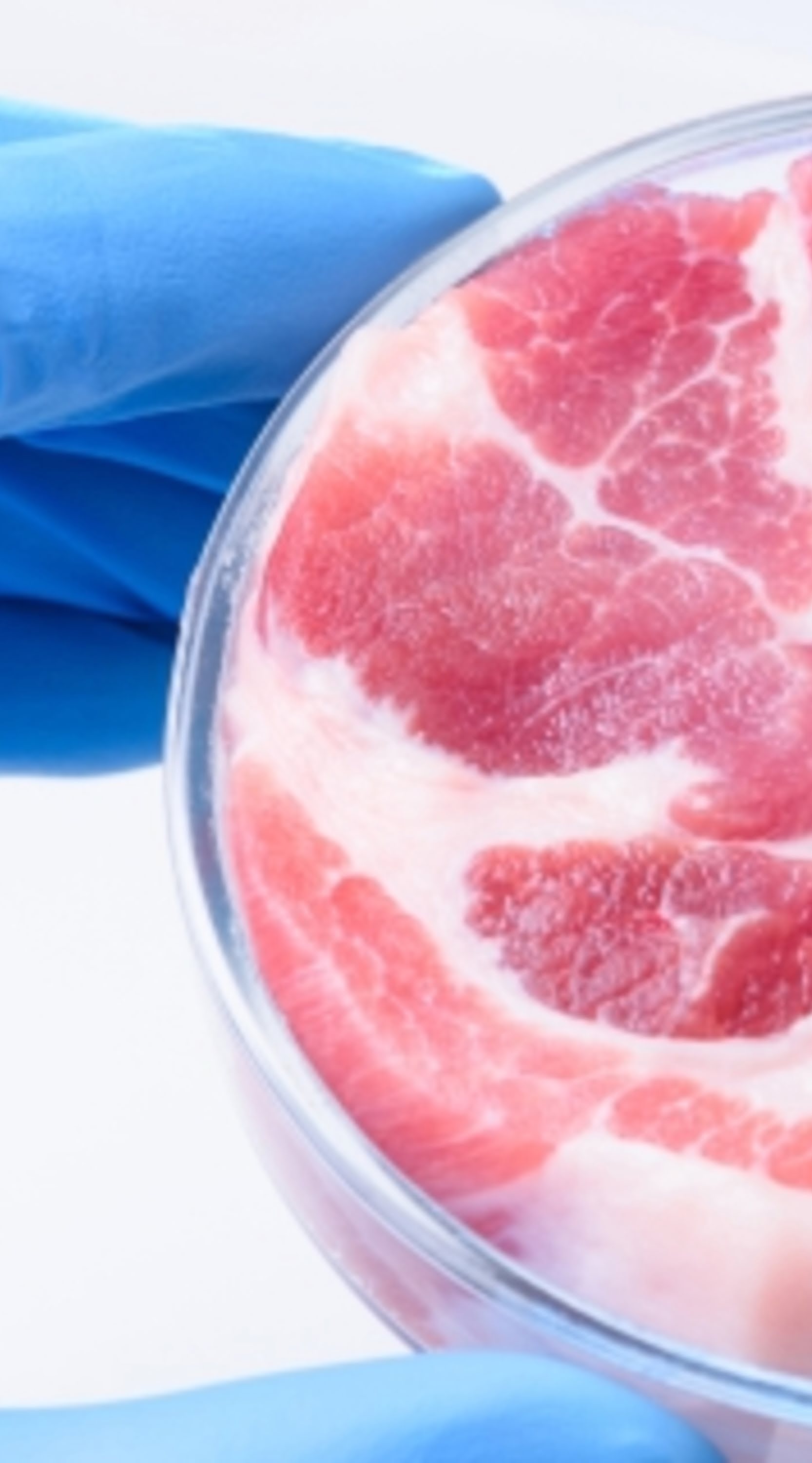 Clean Meat