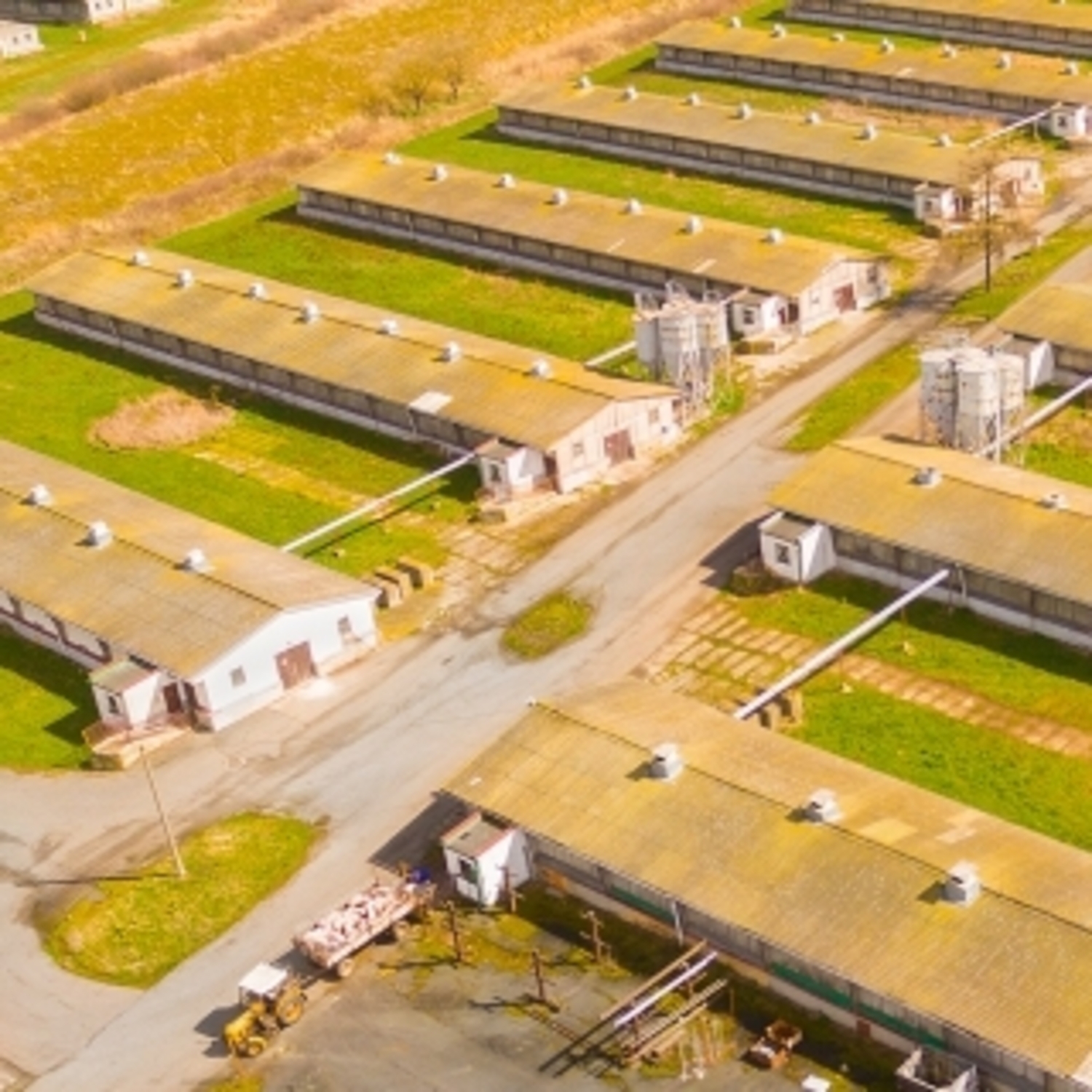 Tierhaltungsanlage