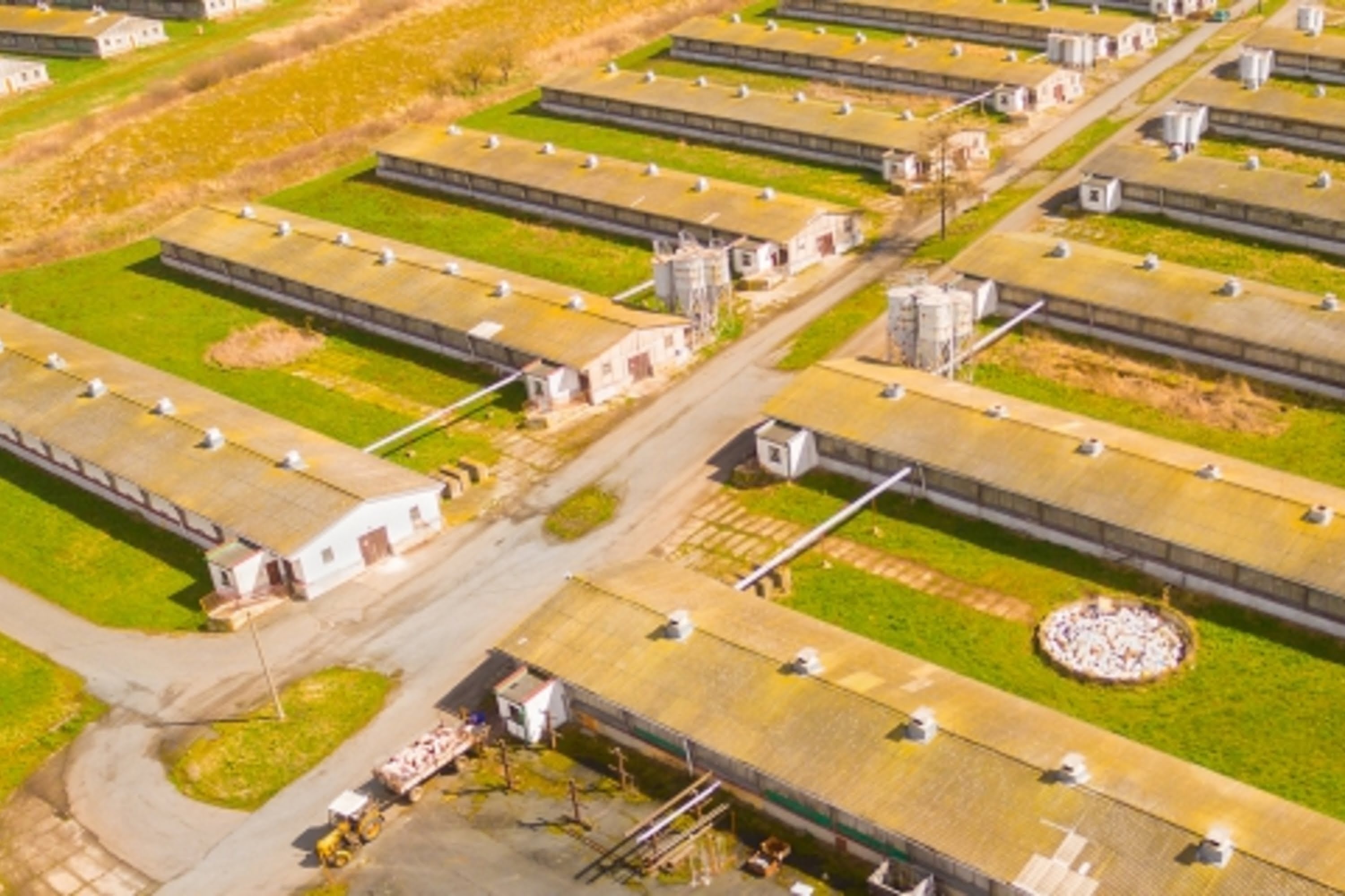 Tierhaltungsanlage