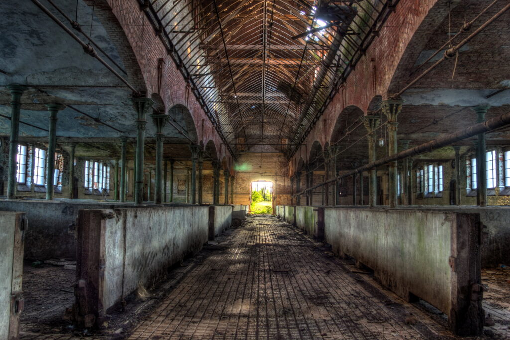 ein verlassenes Gebäude der Tierhaltungsindustrie
