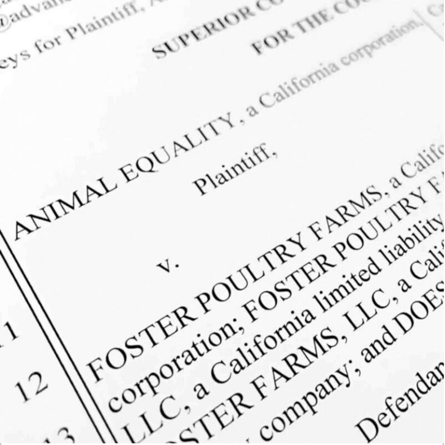 Animal Equality reicht Klage gegen Foster Farms ein