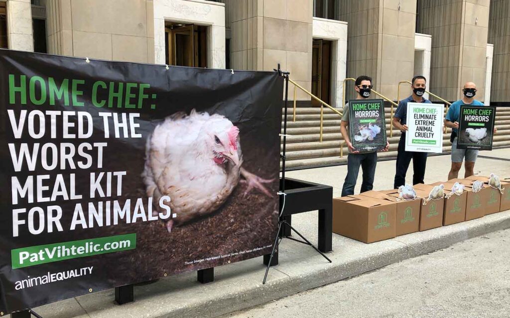 Animal Equality protestiert, um Home Chef davon zu überzeugen, das Leben von Hühnern zu verbessern.