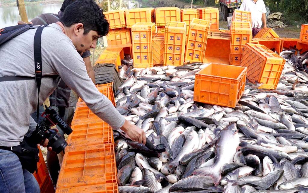 Ein Ermittler von Animal Equality, der Fischfarmen in Indien dokumentiert.