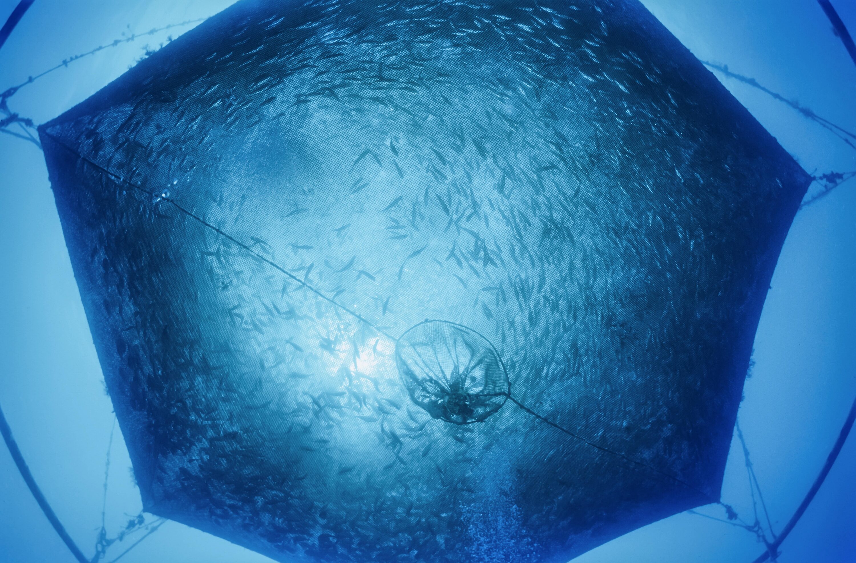 fischernetze im meer