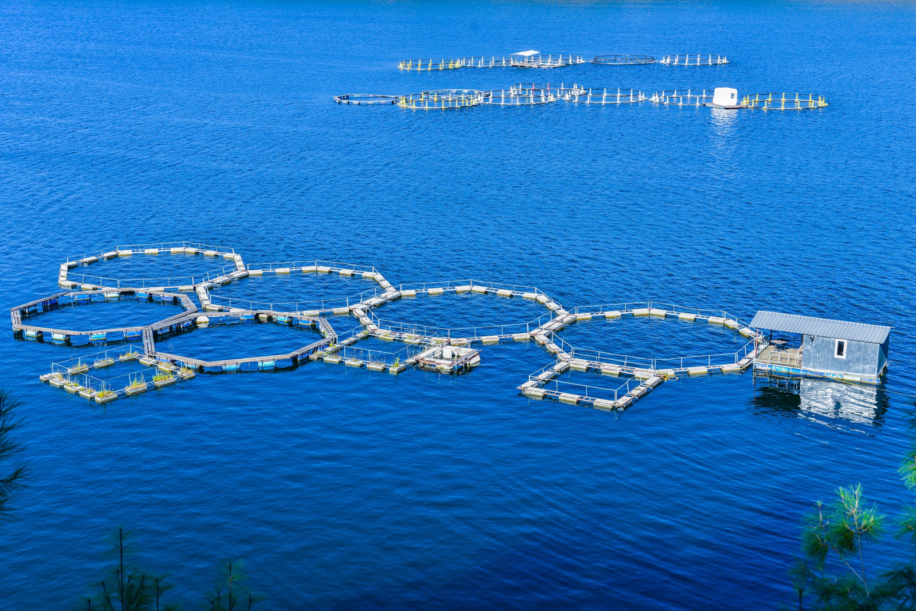 aquakulturen im meer