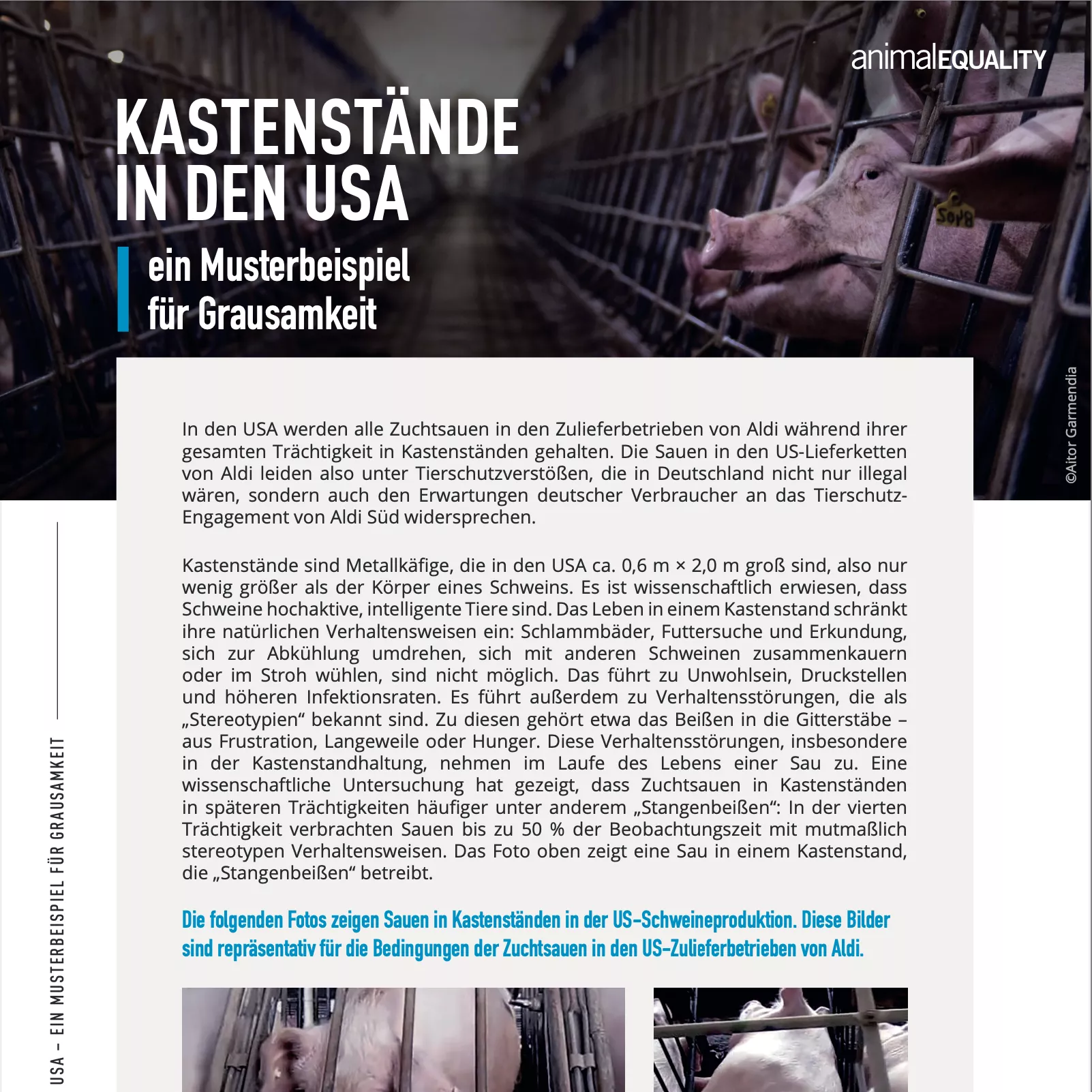 Factsheet Kastenstände USA