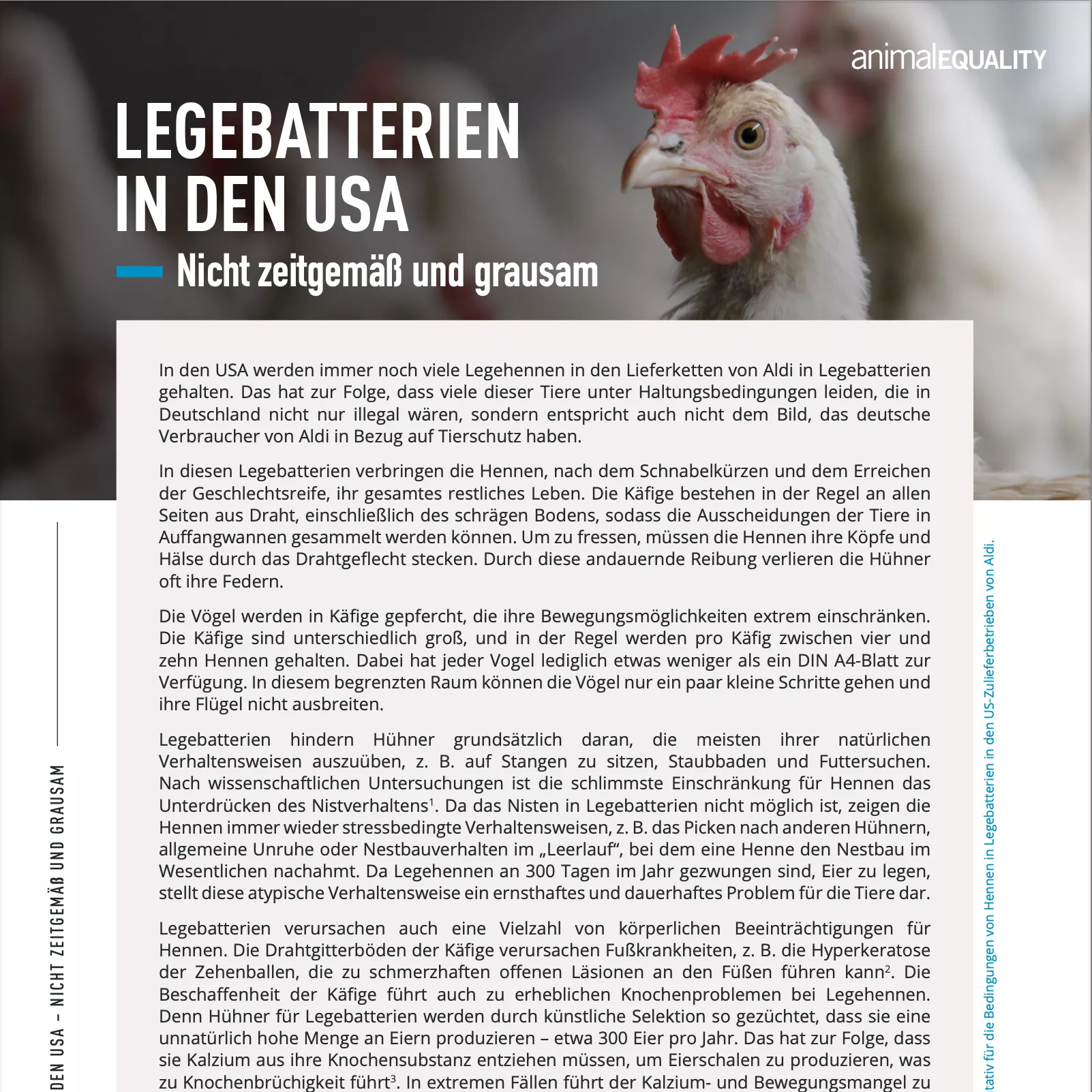 Factsheet Legebatterien USA