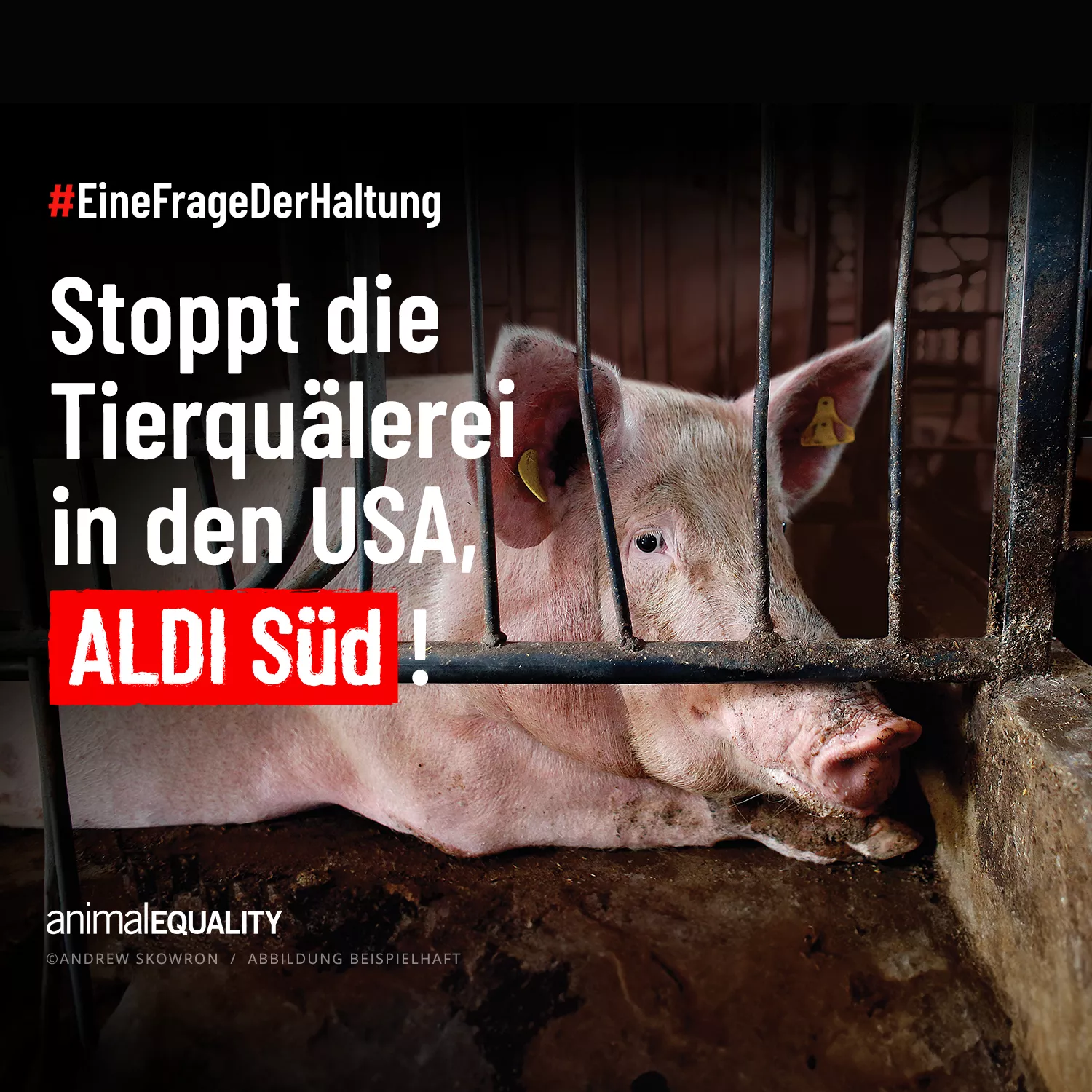ALDI: Eine Frage der Haltung!