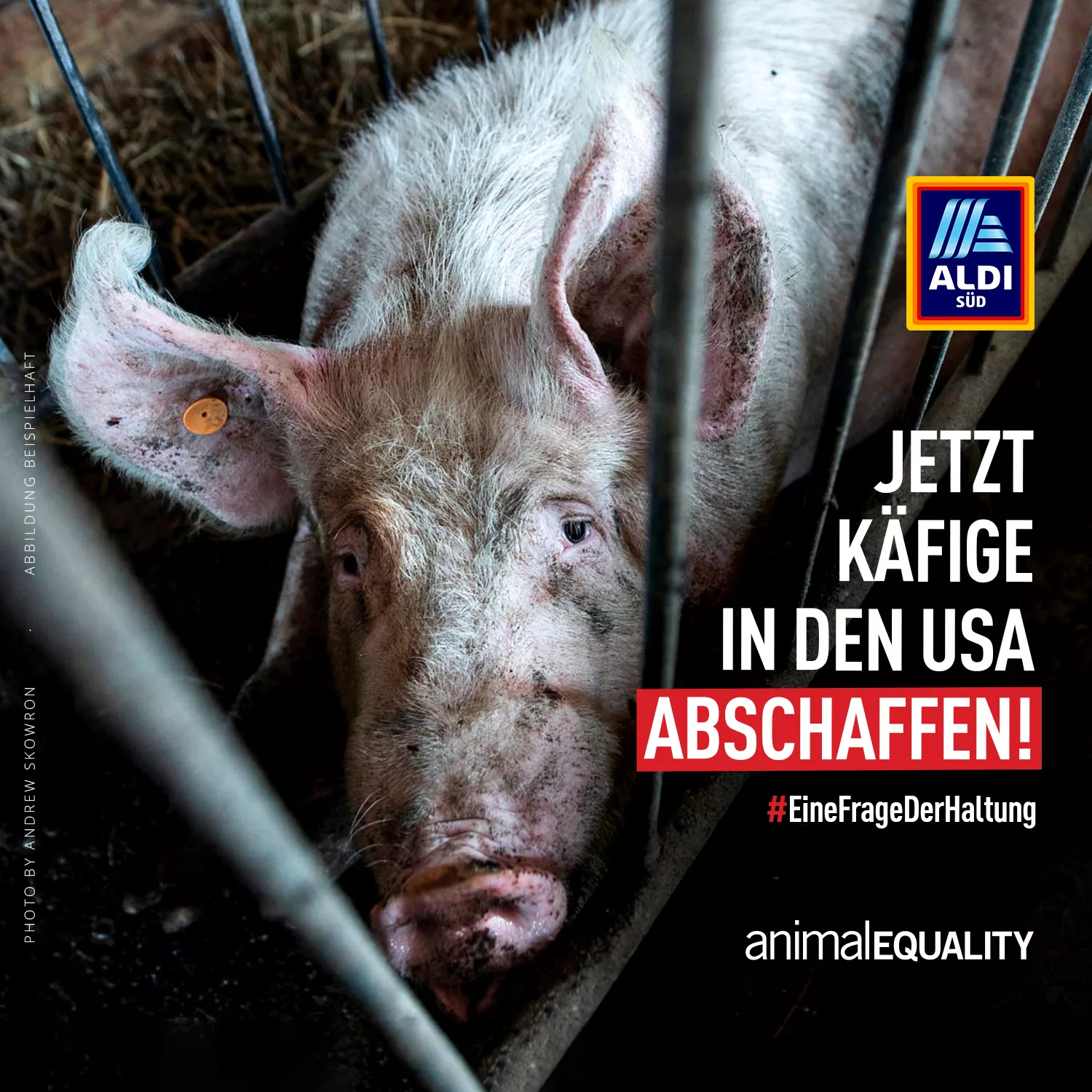 aldi kampagne