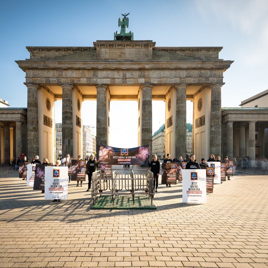 Demonstration vor dem Brandenburger Tor gegen Kastenstände bei ALDI