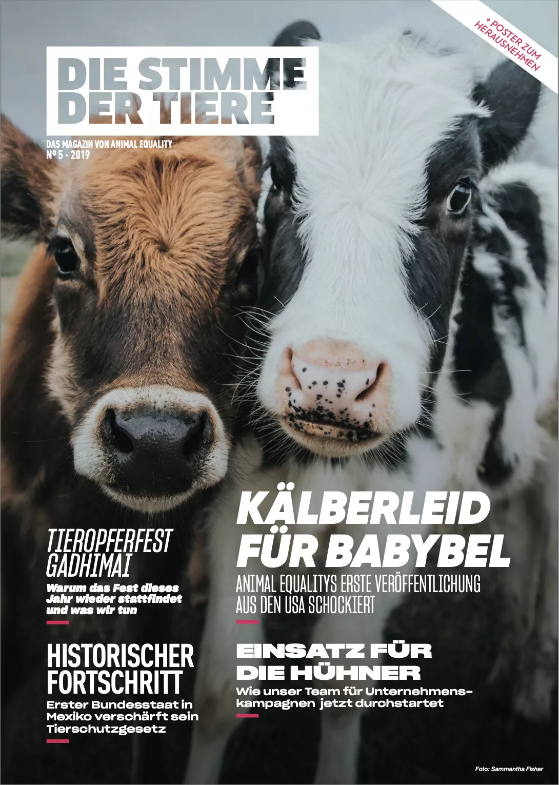 Die Stimme der Tiere - Das Magazin von Animal Equality Nr. 5 - 2019