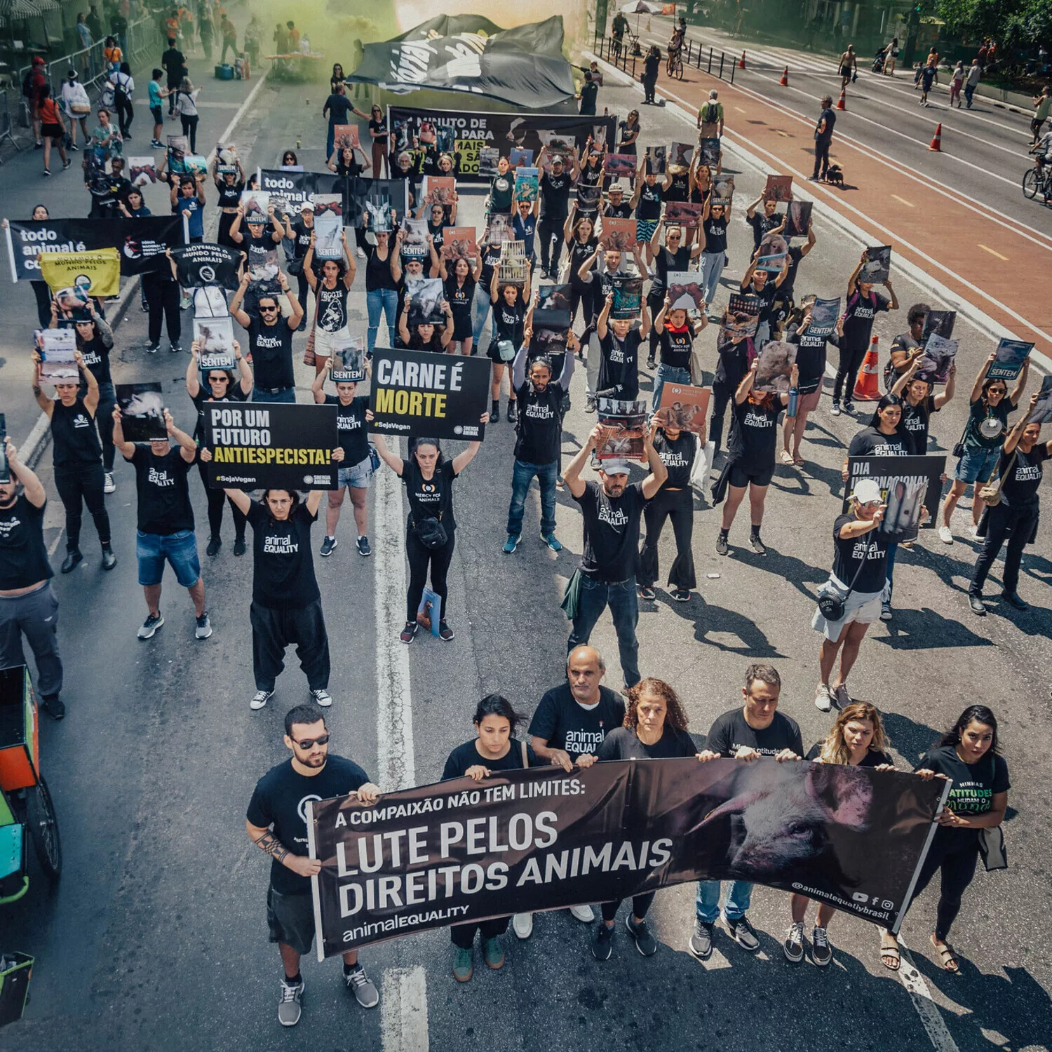 Freiwillige mit Plakaten und Spruchbändern während der Demonstration zum Internationalen Tag der Tierrechte in Brasilien