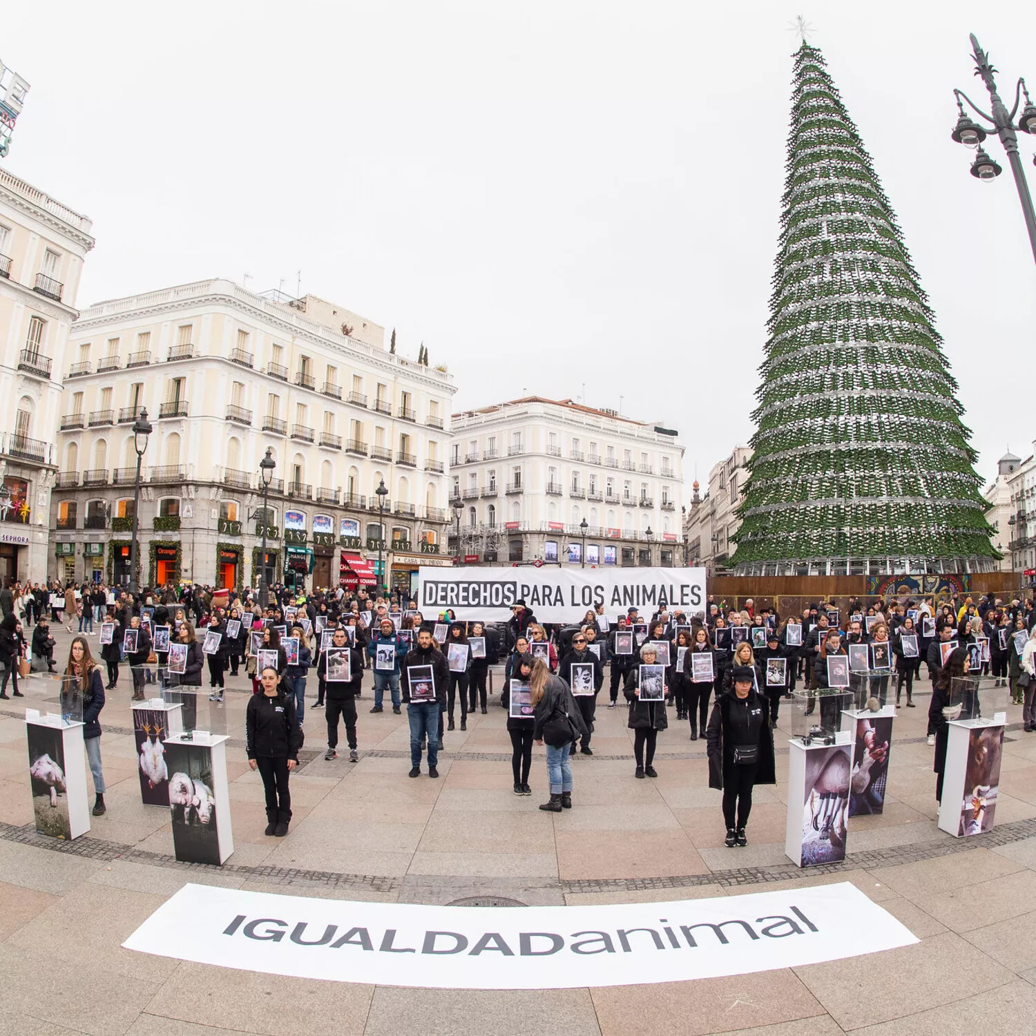 Freiwillige mit Plakaten während der Demonstration zum Internationalen Tag der Tierrechte in Spanien
