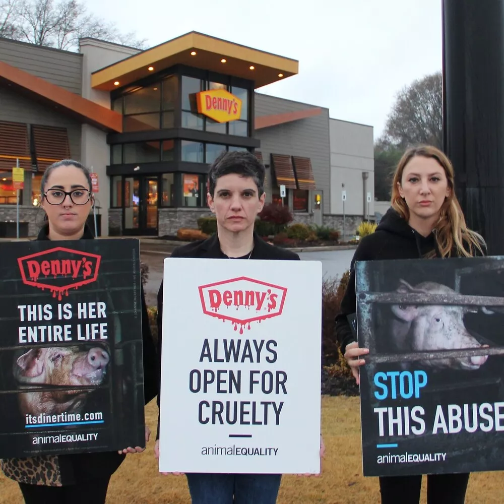 Animal Equality-Protest vor einem Denny's-Restaurant während einer Aktionswoche in Spartanburg, South Carolina, wo Denny's seinen Hauptsitz hat.