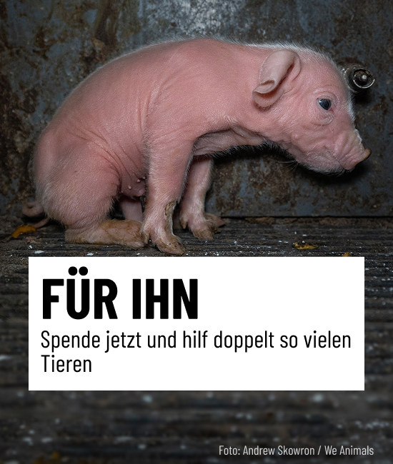 Deine Spende wird verdoppelt!