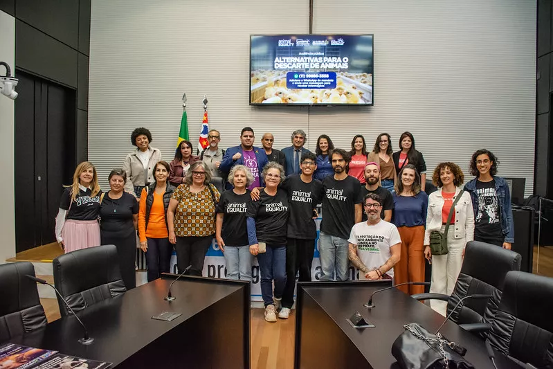 Das Team von Animal Equality und andere Teilnehmende bei der öffentlichen Anhörung zur Beendigung des Tötens männlicher Küken in São Paulo.