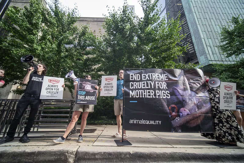 Protest gegen Denny's in Chicago, mit einem echten Kastenstand.