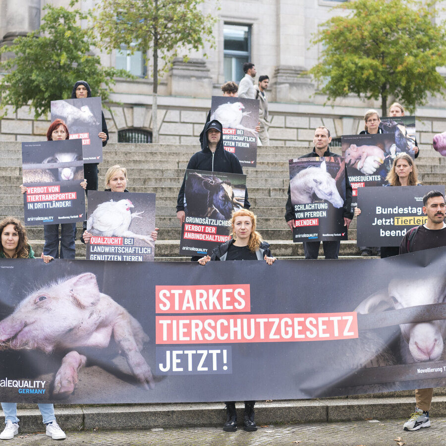 Protest zur Novellierung des Tierschutzgesetzes