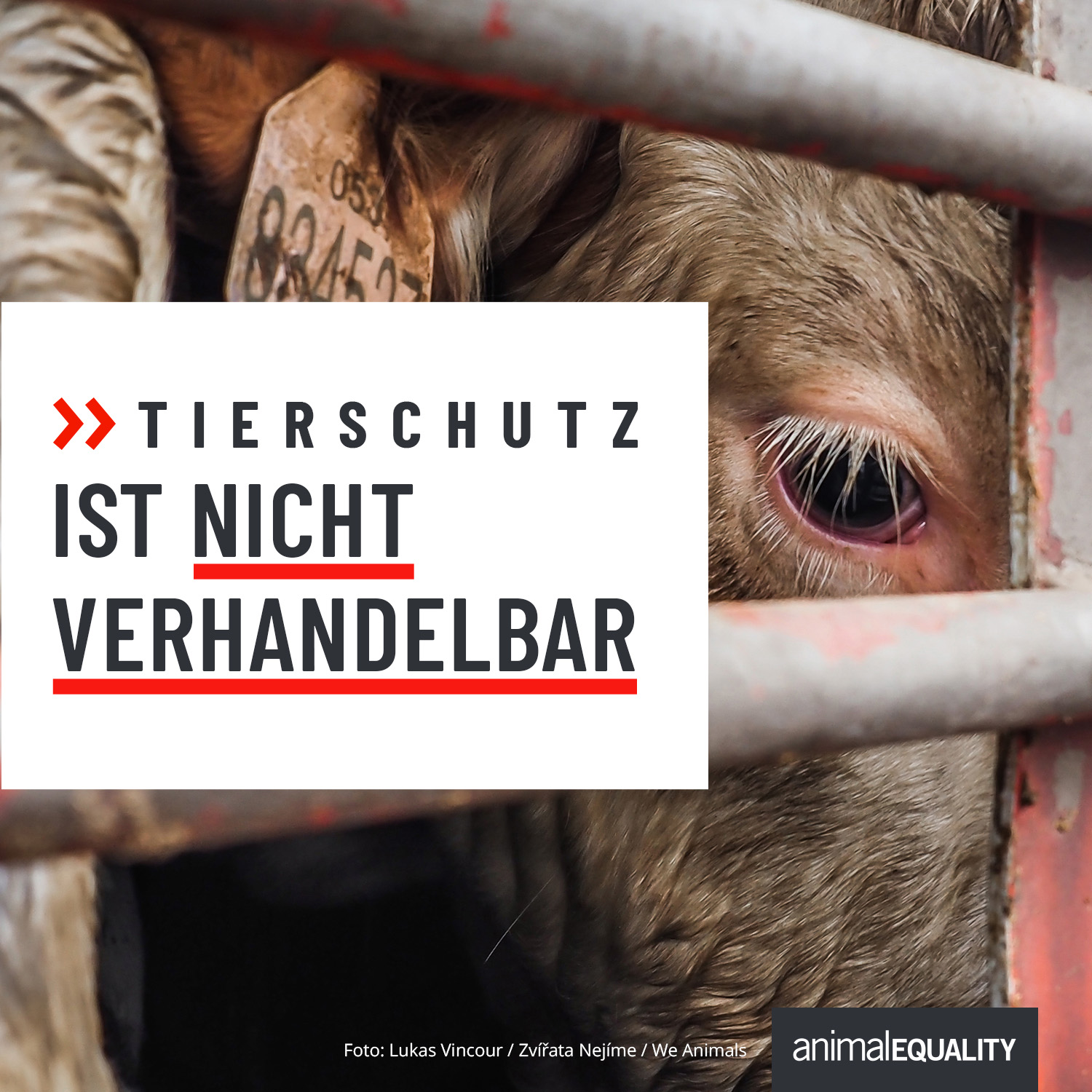 Tierschutz ist nicht verhandelbar