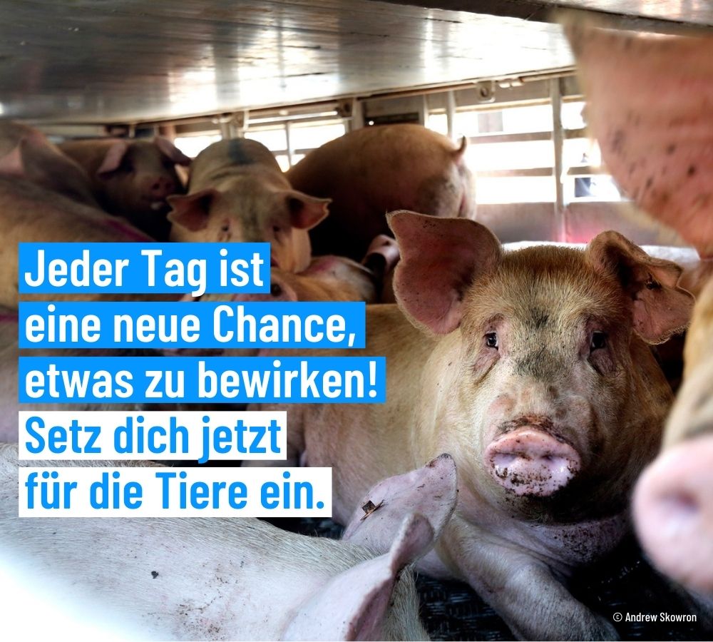 Wie kann ich helfen?