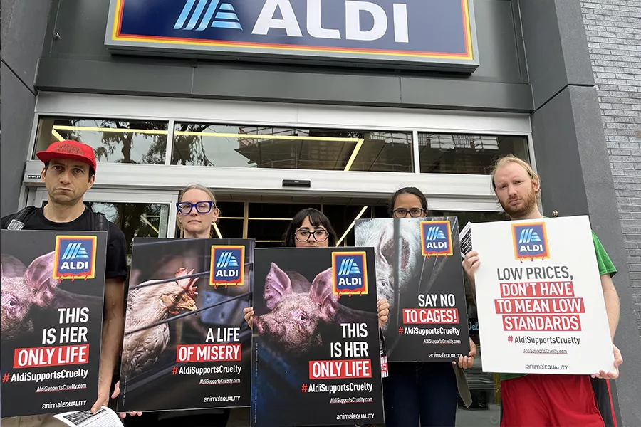 Protest gegen ALDI Süd in New York