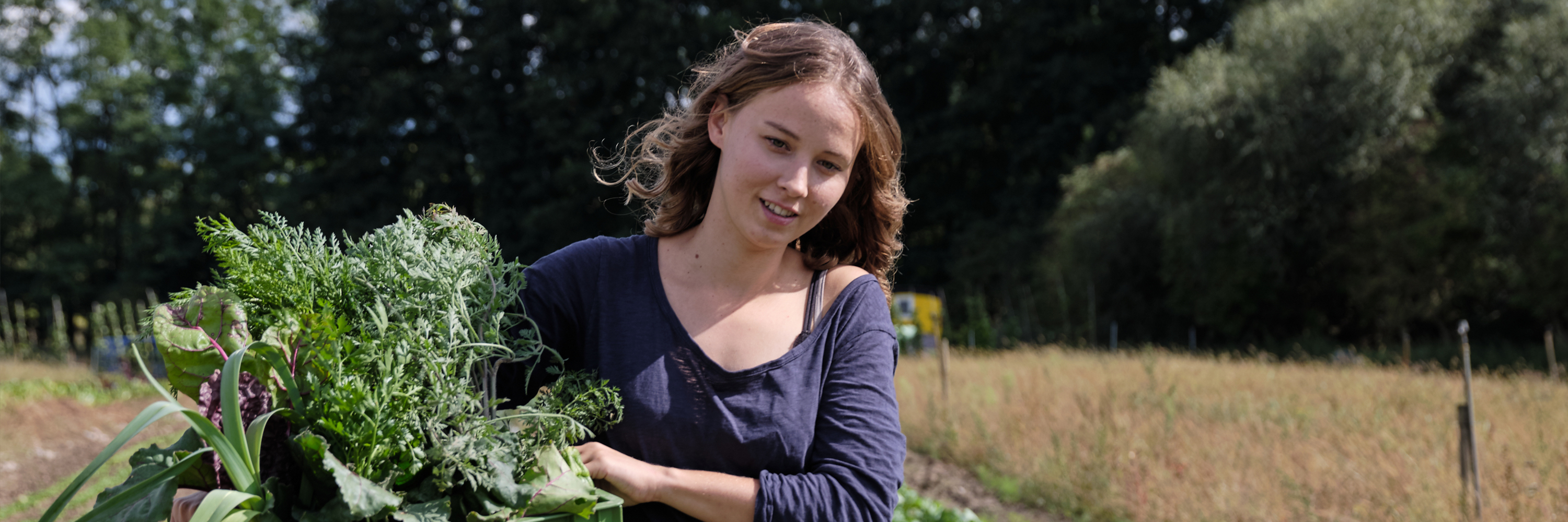 Judith Henn Plantage