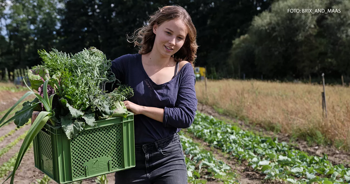 Vegan und nachhaltig: Landwirtschaft neu definiert 4 bio-vegane Landwirtschaft von Judith Henn Plantage