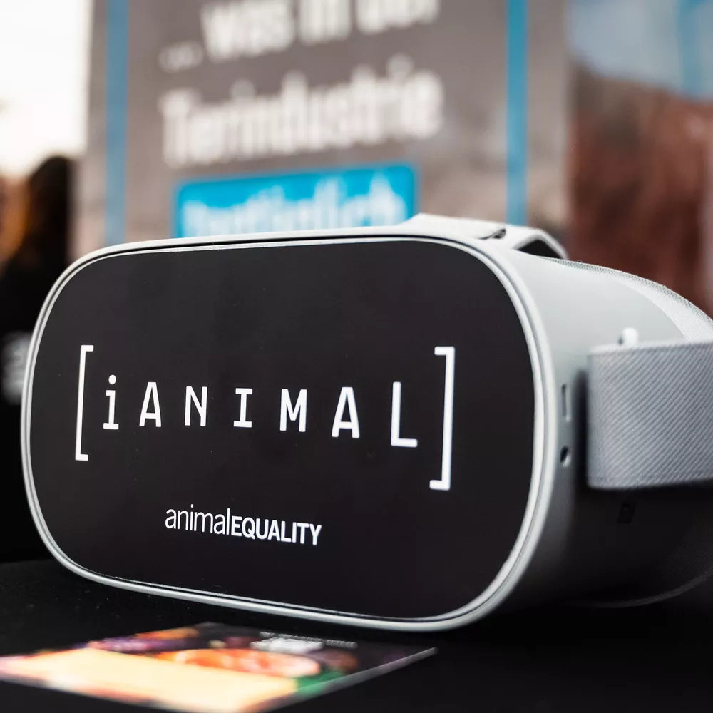 iAnimal