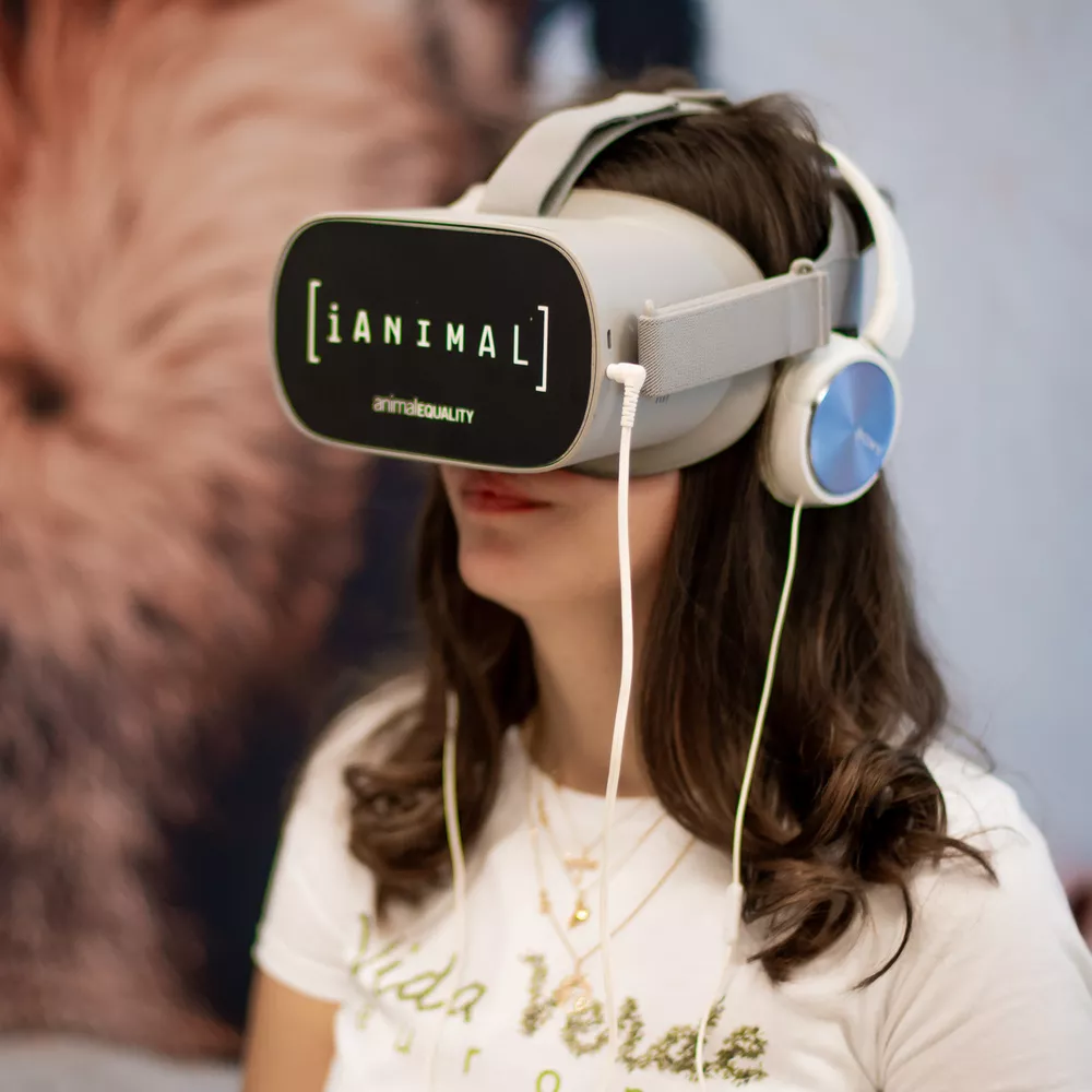 iAnimal