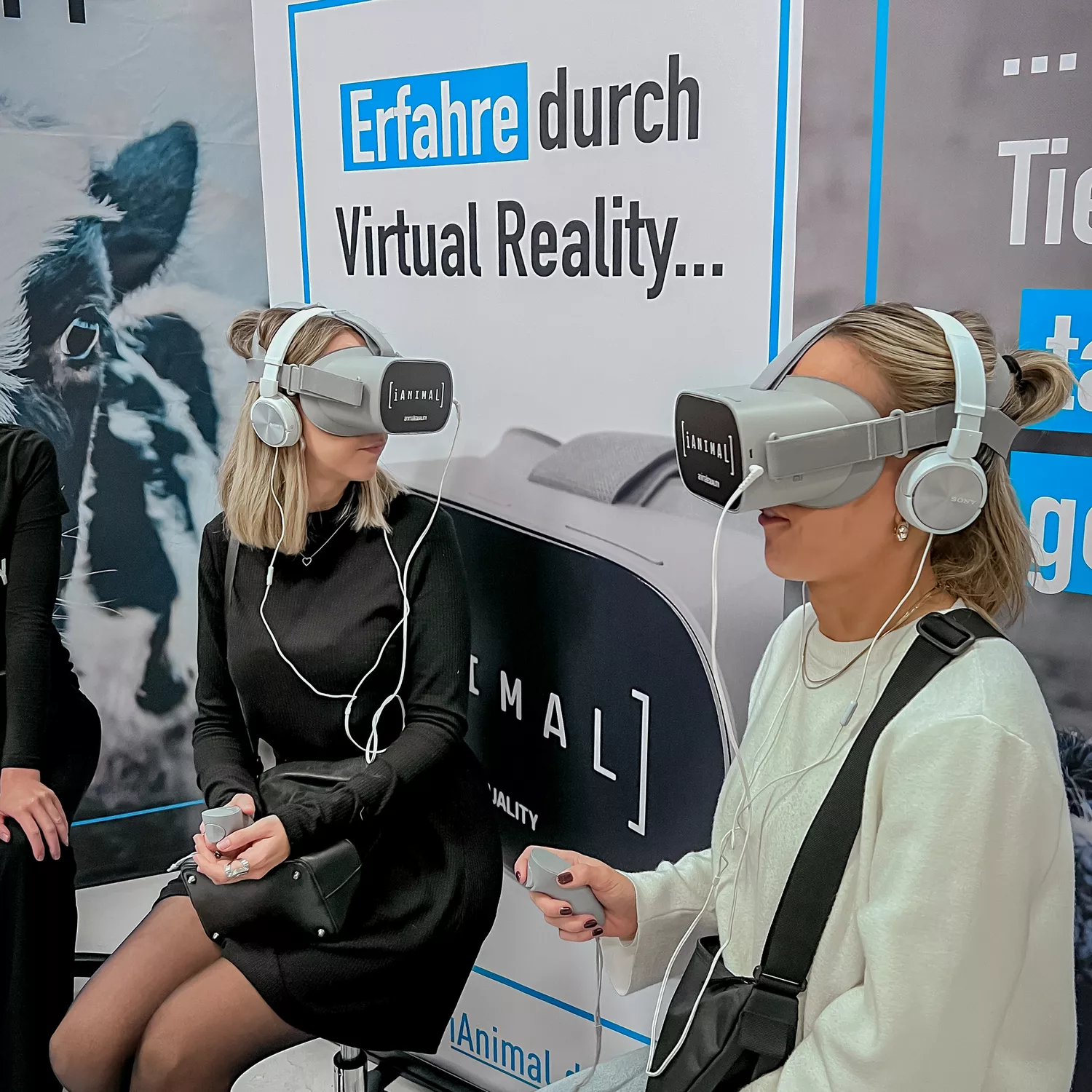 iAnimal