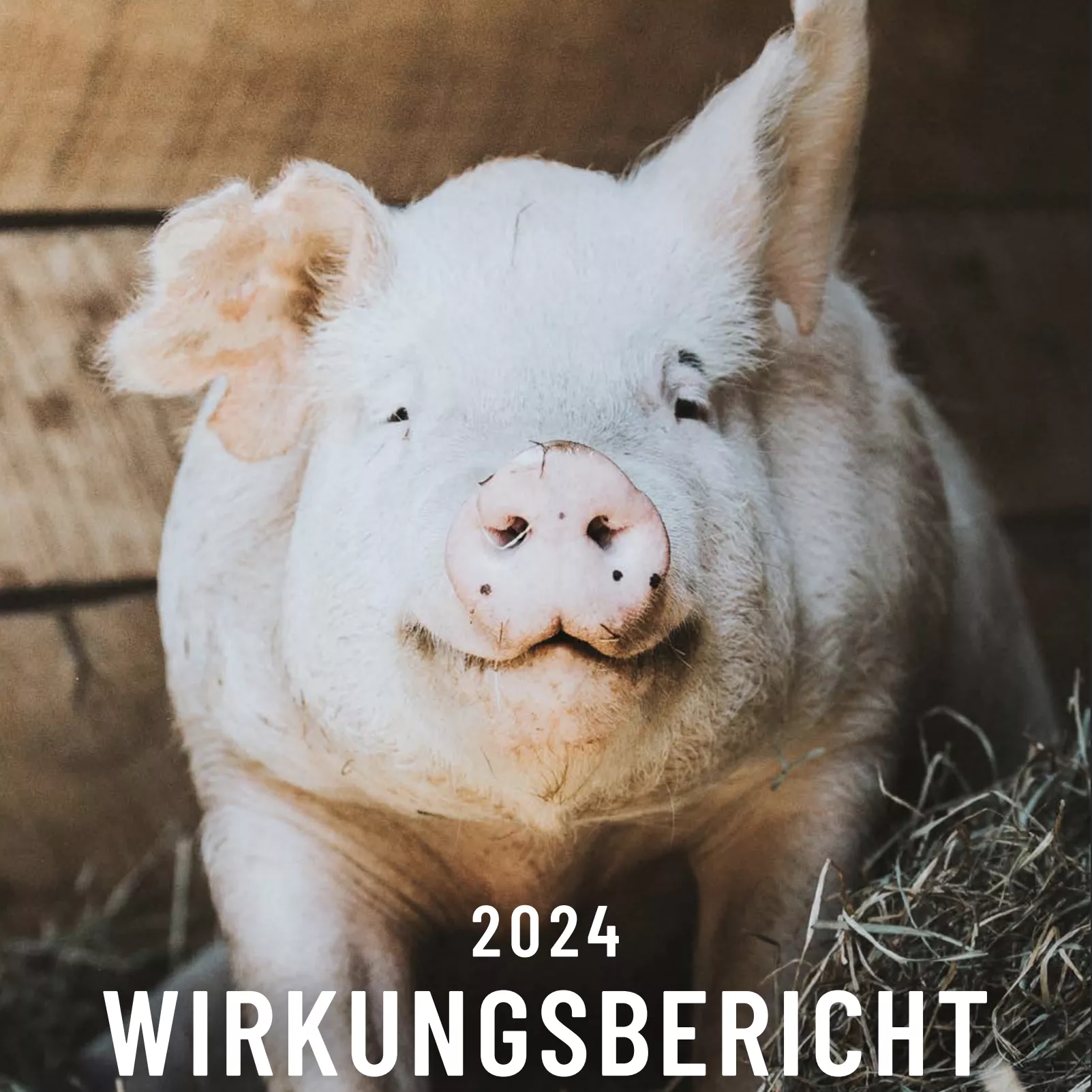 Wirkungsbericht 2024