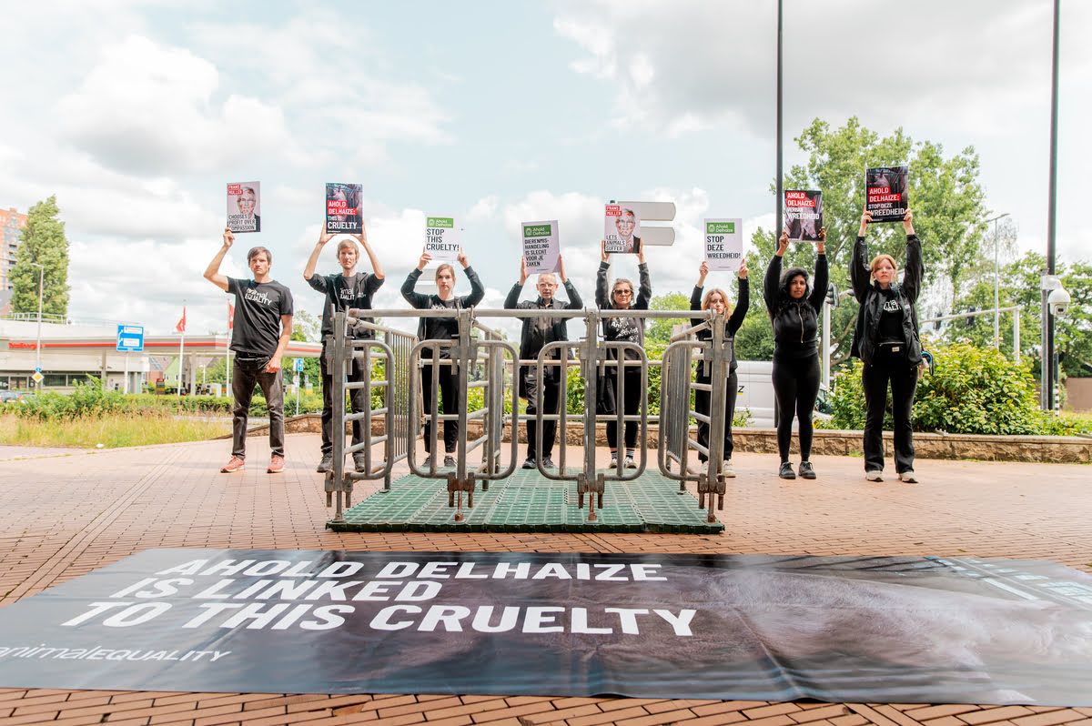 Protest gegen Ahold Delhaize