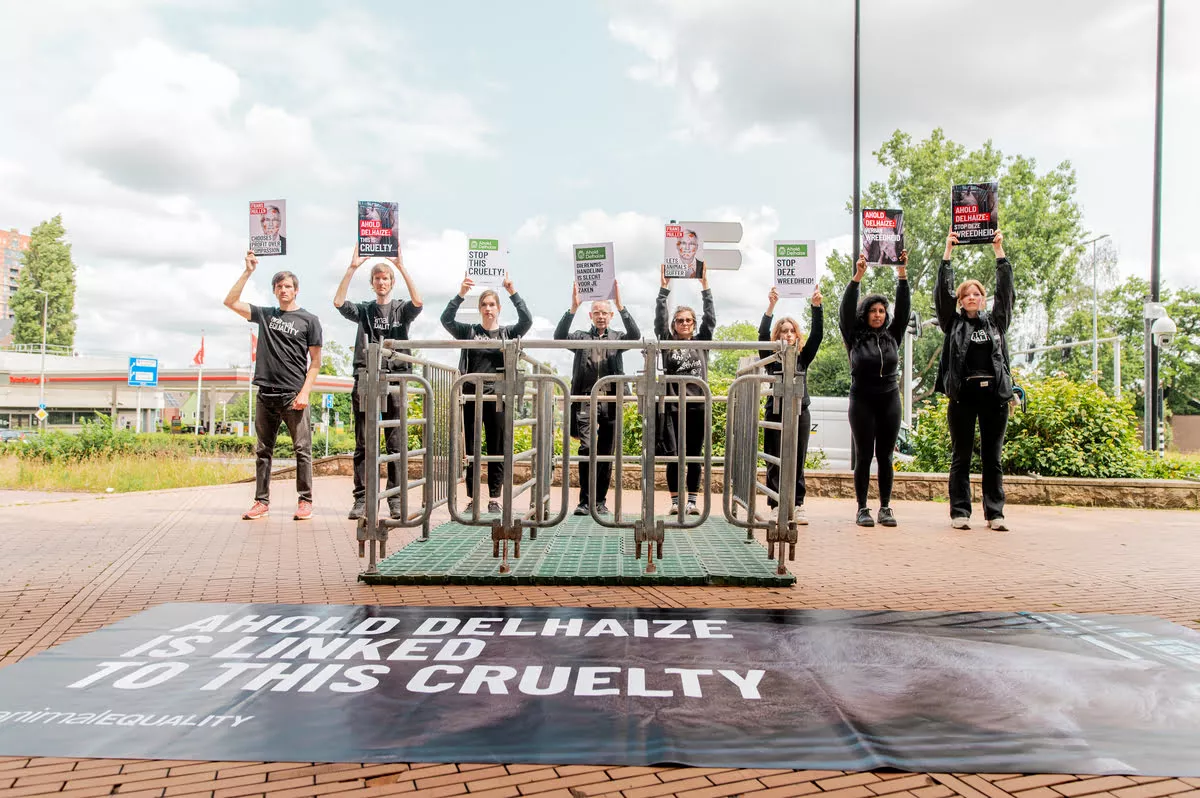 Protest gegen Ahold Delhaize