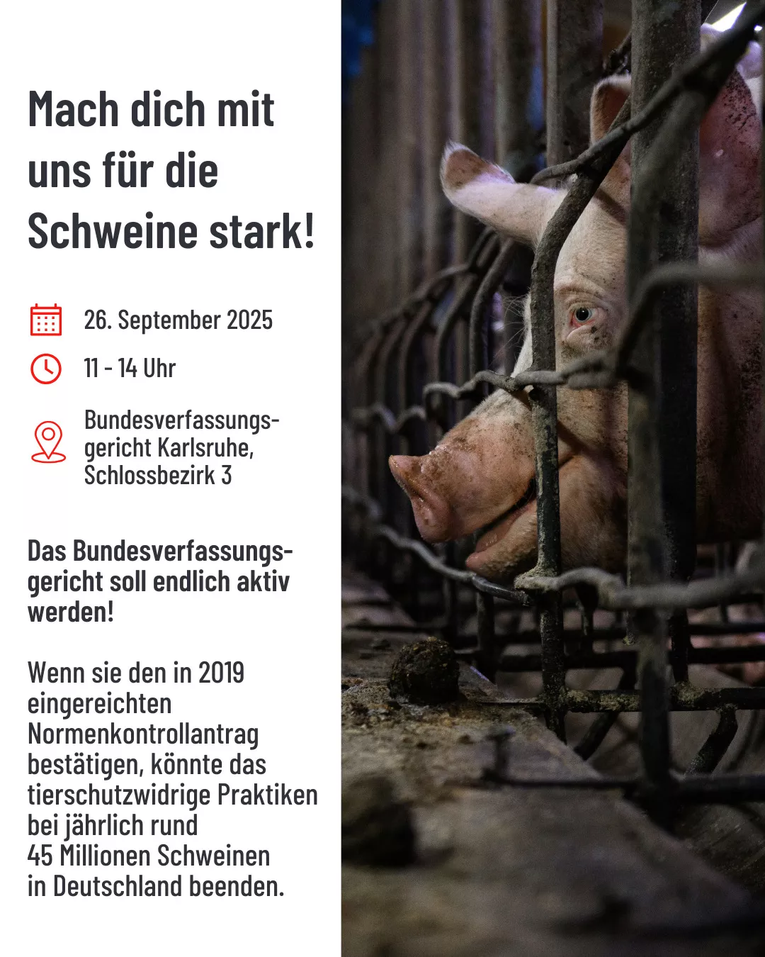 Protesteinladung Normenkontrollantrag