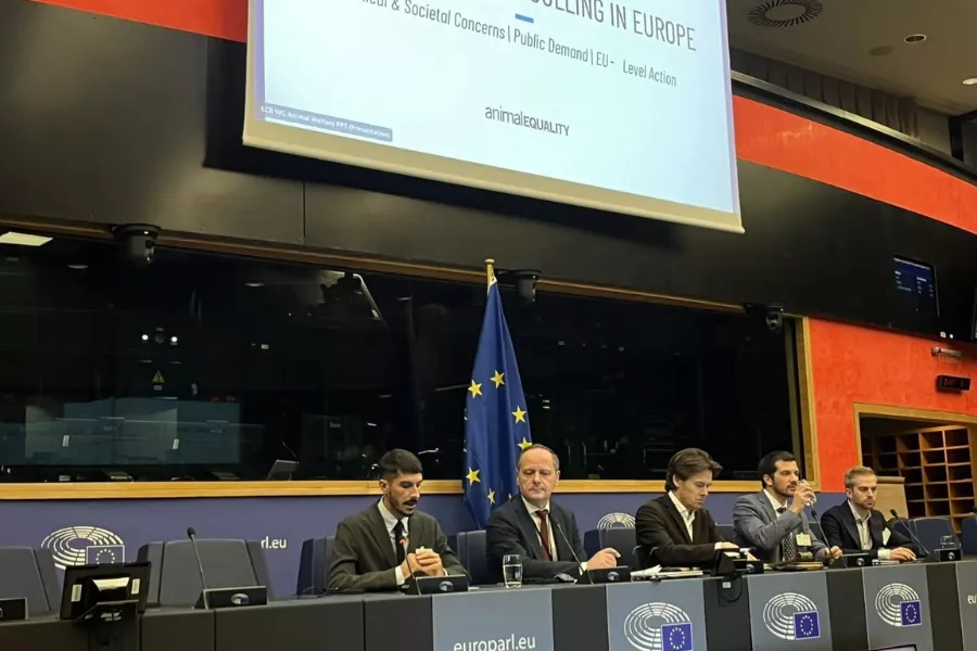 Die Europäische Kommission kehrt den Tieren den Rücken 6 Matteo Cupi im Europäischen Parlament