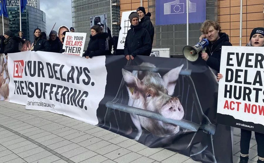 Proteste in Brüssel: Mit Käfigen vor der EU-Kommission 1 Aktivist*innen bei einem Protest