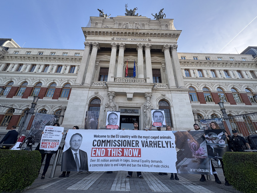 Protest in Spanien
