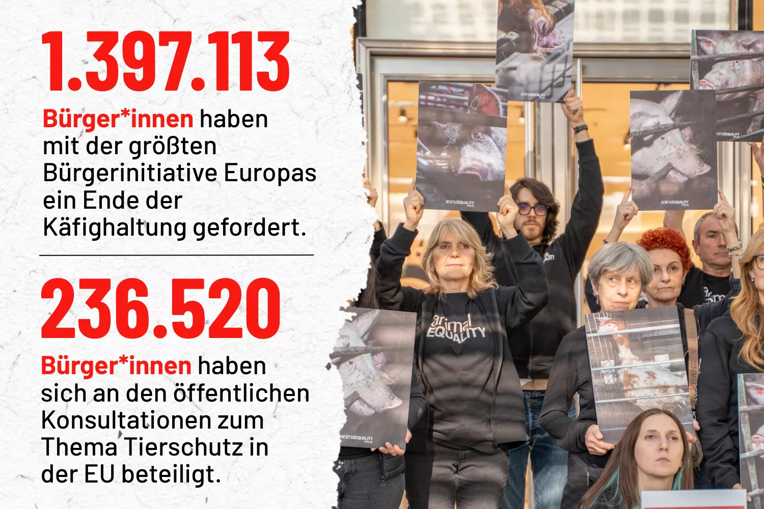 EU-Tierschutzreform – JETZT!