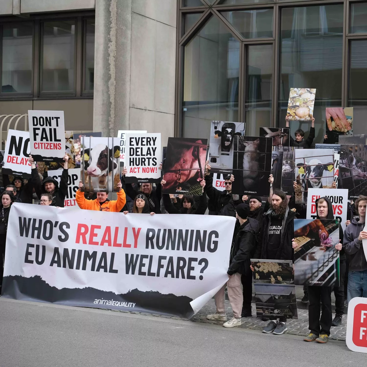 Über 100 Aktivist*innen konfrontieren EU-Kommission in Brüssel: Wer entscheidet wirklich über Tierschutz?