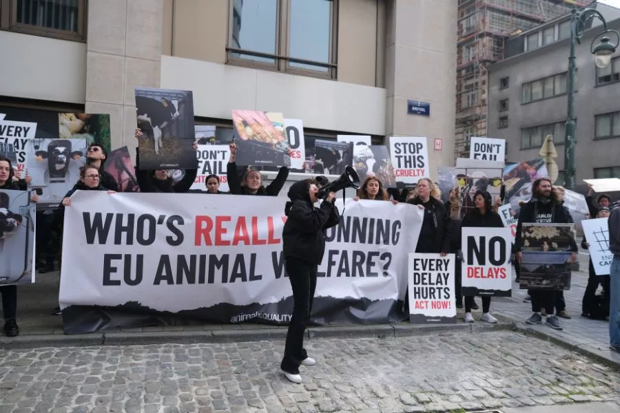 Proteste in Brüssel vor DG Sante