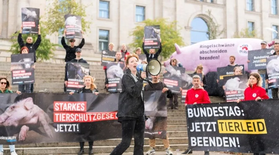 Warum die Pläne zur Videoüberwachung in Schlachthöfen nicht ausreichen 2 Proteste vor dem Bundestag