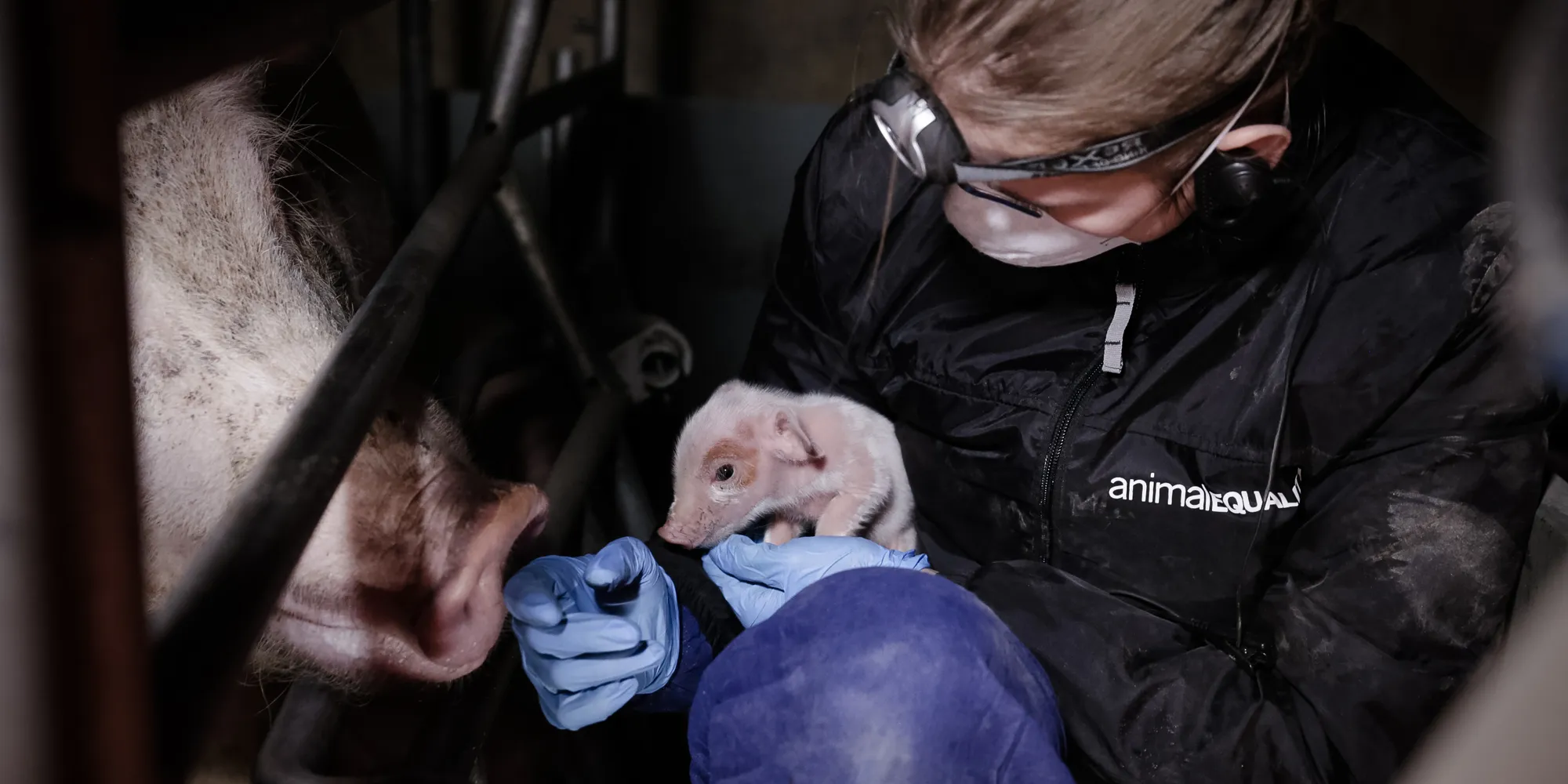 Startseite 10 Ermittlerin mit einem Schwein und einem Ferkel