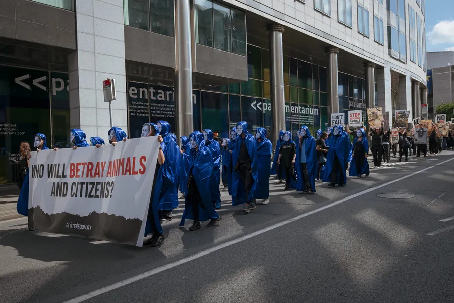 Protest in Brüssel