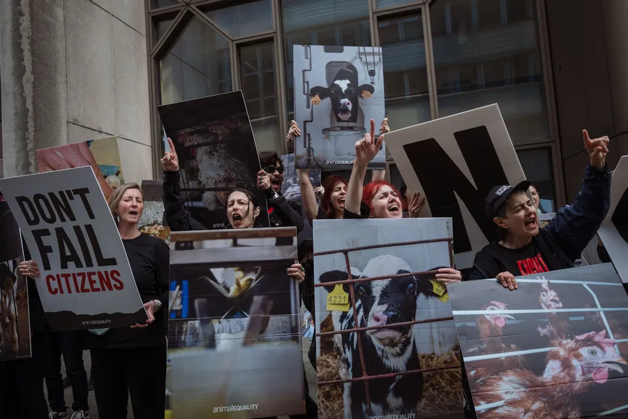Protest in Brüssel