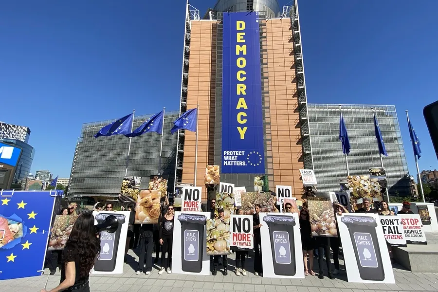 Protest in Brüssel